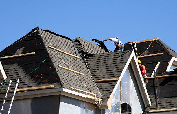 Best Roof Leak Repair  in Broadview Park, FL