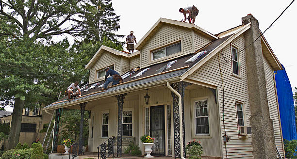 Quick and Trustworthy Emergency Roof Repair Services in Broadview Park, FL